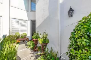 Photo #2: NDP2400026 Listing