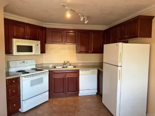 Photo #1: NDP2400054 Listing