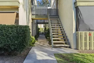 Photo #1: NDP2400078 Listing 