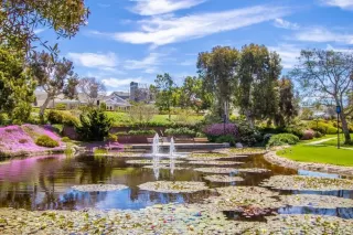 Photo #2: NDP2400223 Listing