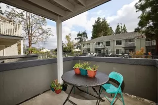 Photo #5: NDP2400325 Listing