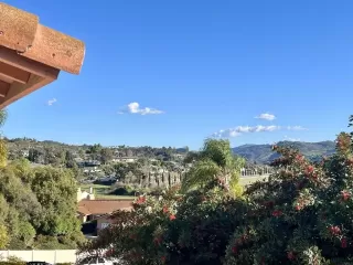 Photo #2: NDP2400407 Listing 