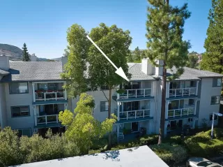 Photo #1: NDP2400413 Listing