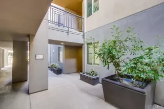 Photo #2: NDP2400429 Listing