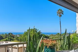 Photo #1: NDP2400516 Listing 