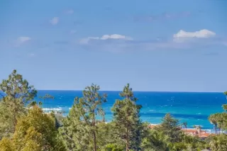 Photo #5: NDP2400516 Listing 