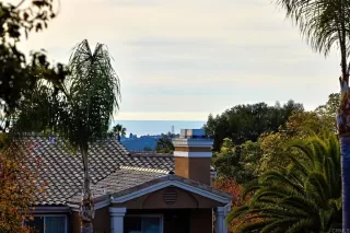 Photo #6: NDP2400546 Listing 