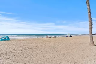 Photo #4: NDP2400665 Listing 