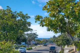 Photo #5: NDP2400837 Listing