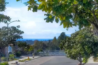 Photo #6: NDP2400837 Listing