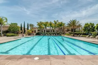 Photo #5: NDP2400870 Listing 