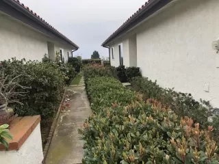 Photo #4: NDP2401407 Listing