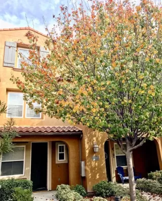 Photo #2: NDP2401540 Listing 