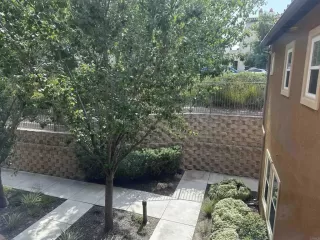 Photo #5: NDP2401540 Listing 