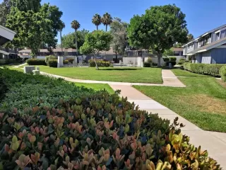 Photo #3: NDP2401861 Listing 