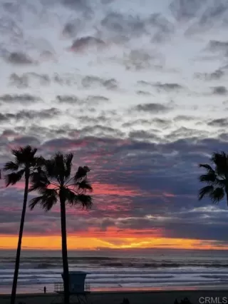 Photo #2: NDP2402050 Listing 