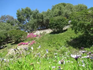 Photo #5: NDP2402444 Listing