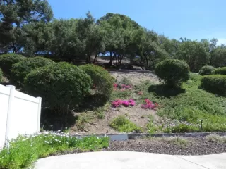 Photo #6: NDP2402444 Listing