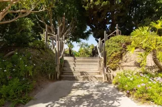 Photo #6: NDP2402465 Listing