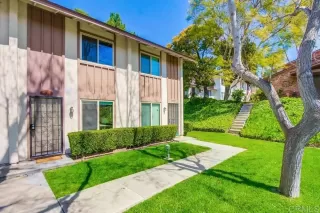 Photo #1: NDP2402550 Listing 