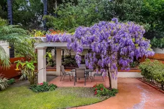 Photo #4: NDP2402959 Listing