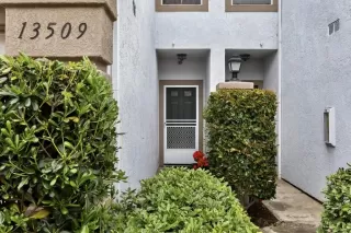 Photo #1: NDP2403129 Listing 