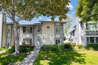 Photo #1: NDP2403299 Listing