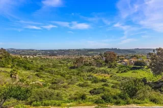 Photo #5: NDP2403467 Listing