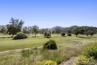 Photo #3: NDP2403649 Listing 