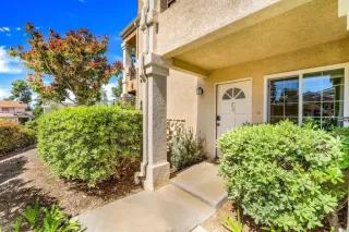 Photo #1: NDP2403724 Listing 