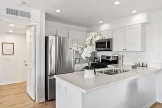 Photo #5: NDP2403724 Listing 