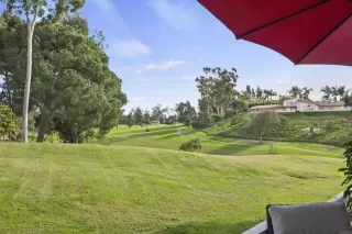 Photo #1: NDP2403754 Listing