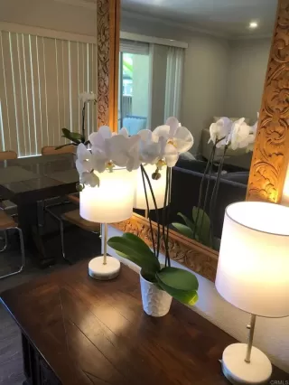 Photo #2: NDP2403949 Listing