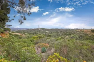 Photo #3: NDP2404007 Listing 