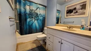 Photo #3: NDP2404144 Listing 