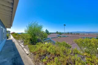 Photo #2: NDP2404146 Listing 