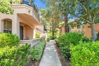 Photo #1: NDP2404398 Listing