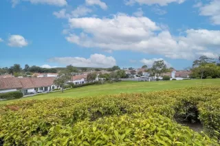 Photo #1: NDP2404477 Listing 