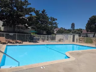 Photo #1: NDP2404594 Listing 