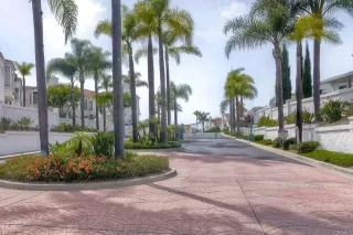 Photo #5: NDP2404666 Listing