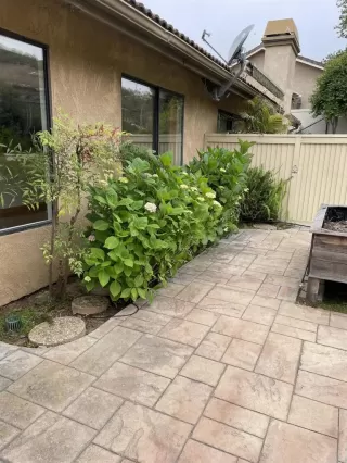 Photo #1: NDP2405038 Listing 