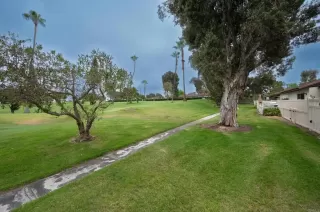 Photo #3: NDP2405058 Listing 