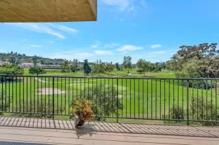 Photo #5: NDP2405189 Listing 