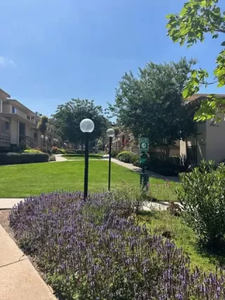 Photo #1: NDP2405420 Listing 