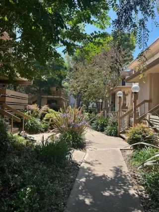 Photo #5: NDP2405420 Listing 