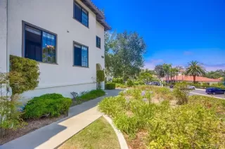 Photo #1: NDP2406093 Listing