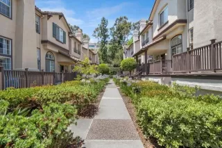 Photo #1: NDP2406105 Listing