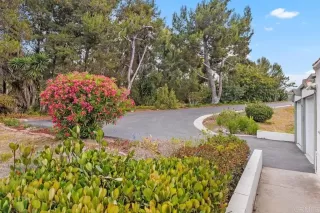 Photo #2: NDP2406163 Listing 