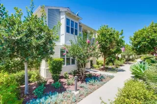 Photo #1: NDP2406457 Listing