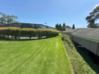 Photo #4: NDP2406460 Listing